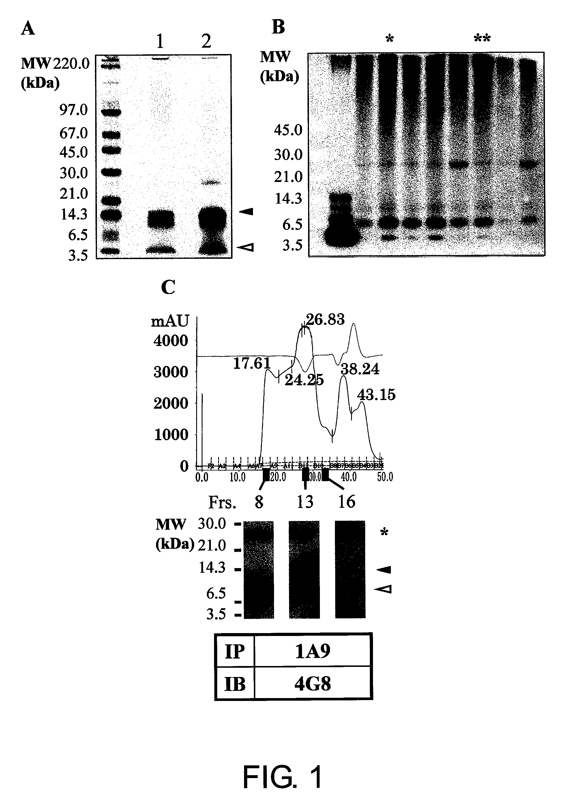 Antibody Specific Binding to A-Beta Oligomer and the Use