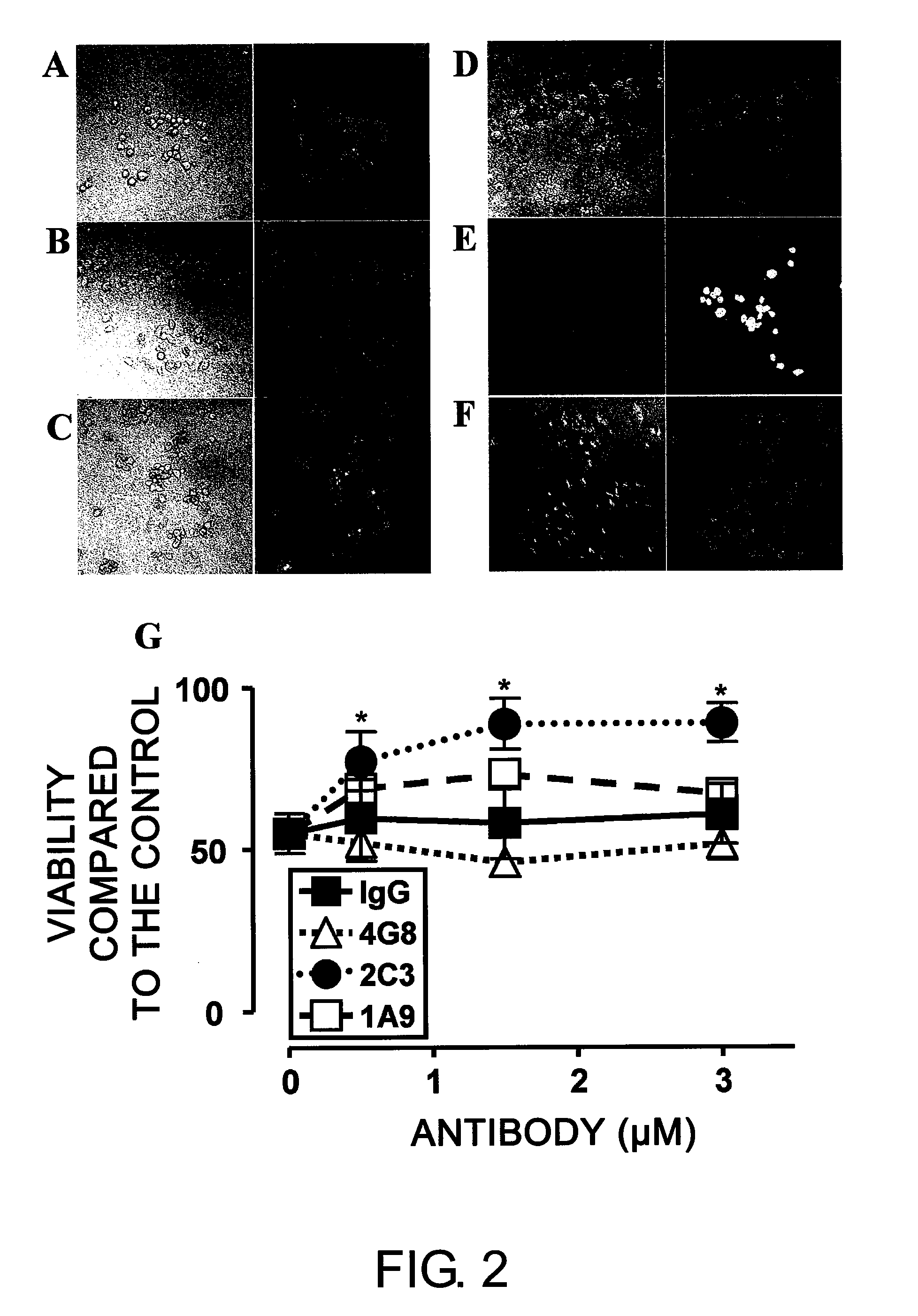 Antibody Specific Binding to A-Beta Oligomer and the Use