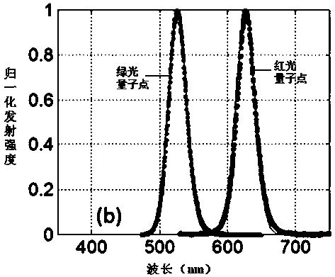 Quantum dot LED and preparation method