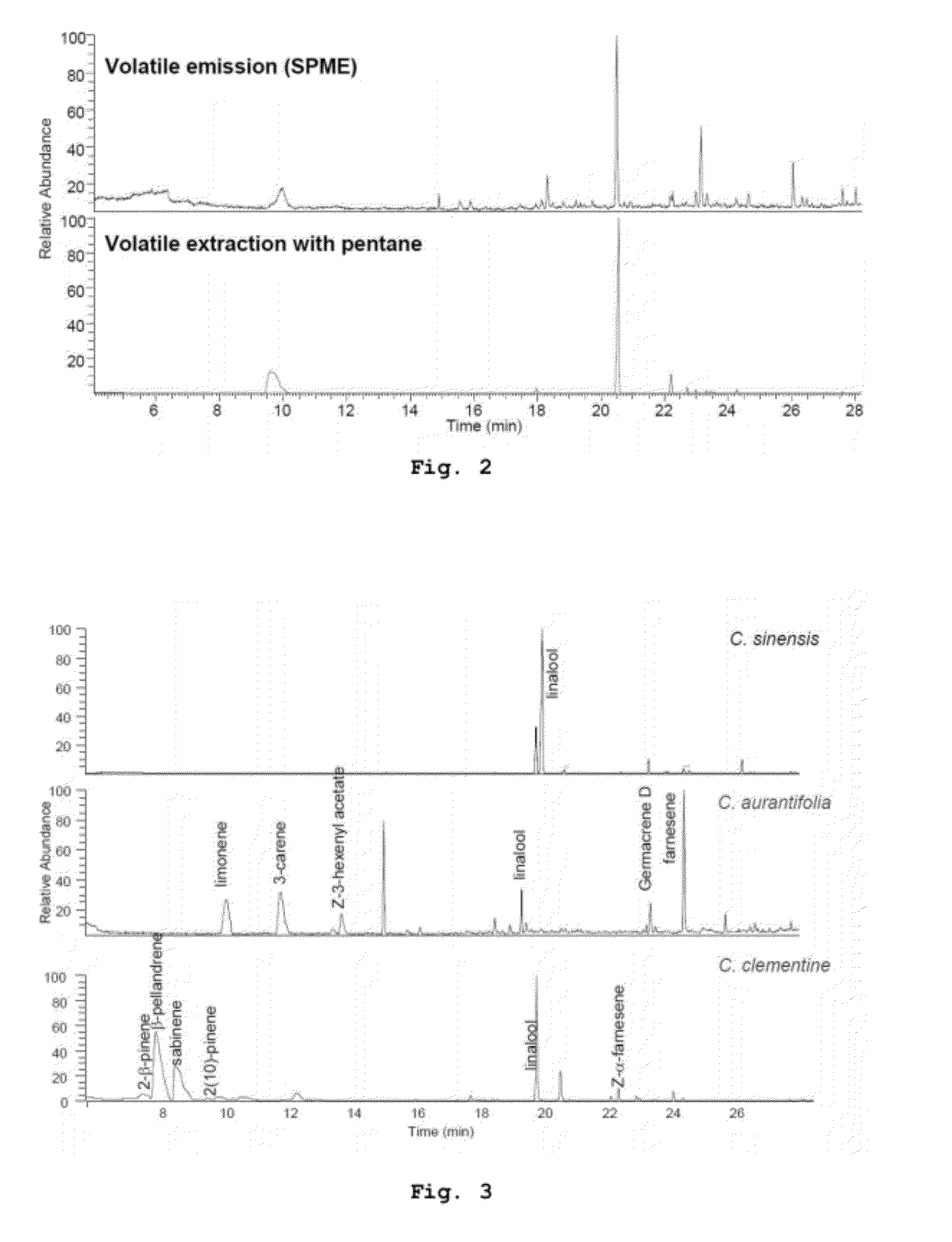 Repellent compositions and genetic approaches for controlling huanglongbing