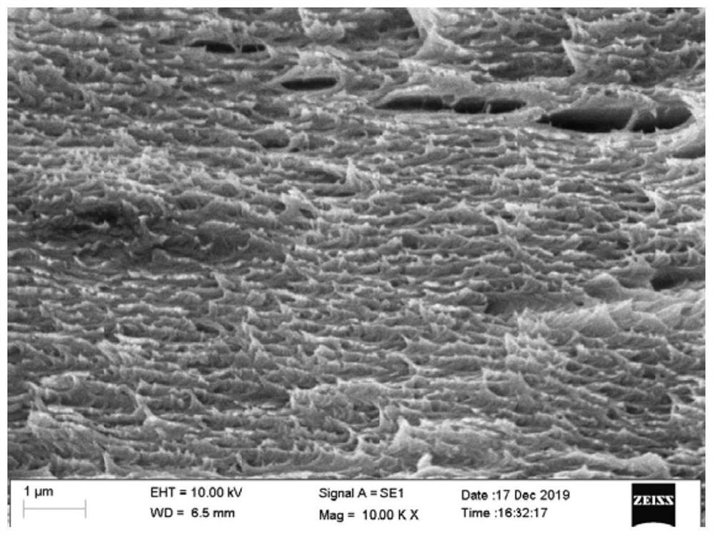 Wavelength-controllable cellulose iridescent film and preparation method thereof