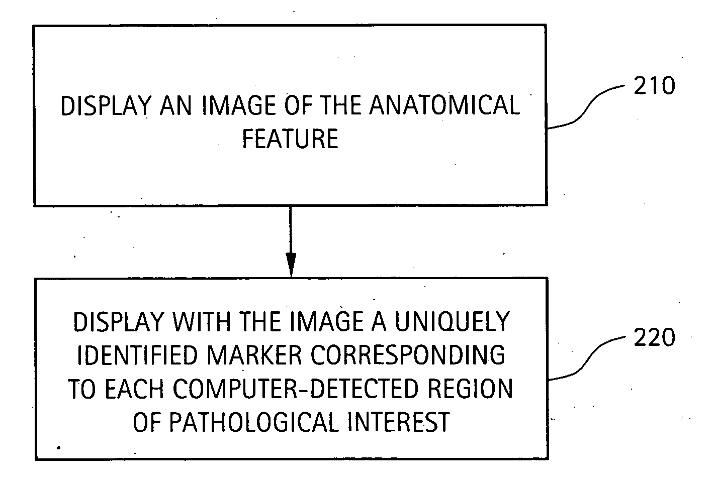 Method and system for displaying regions of pathological interest