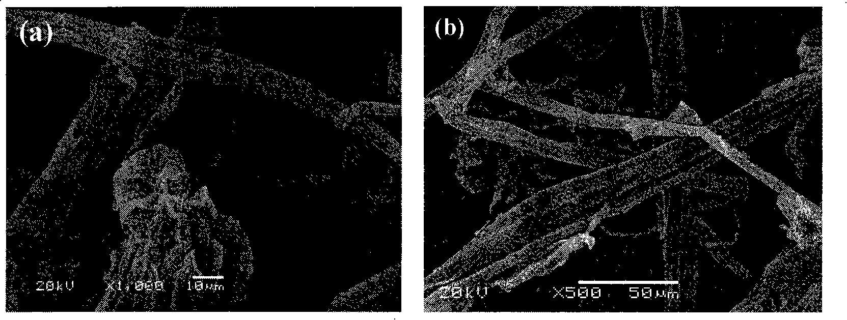 Method for manufacturing conductive polyaniline/cellulose composite biosensor