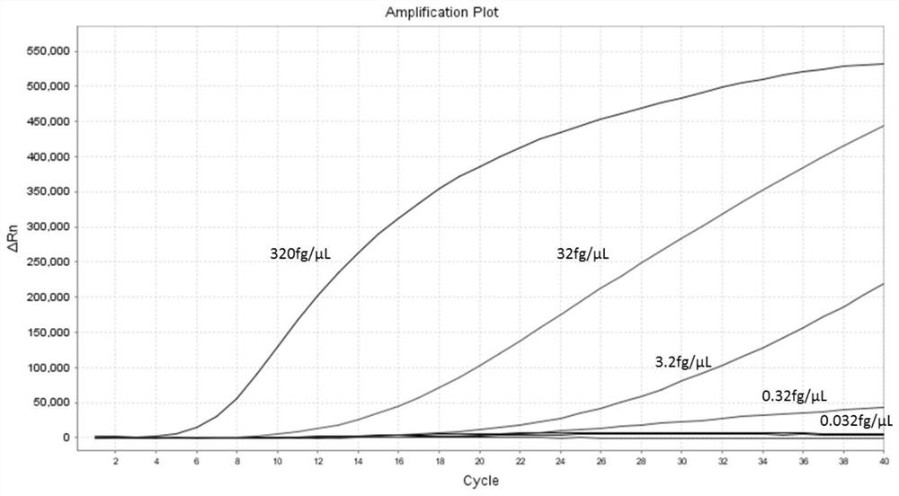 Raa constant temperature fluorescence detection method and reagents for infectious hypodermic and hematopoietic necrosis virus (IHHNV)