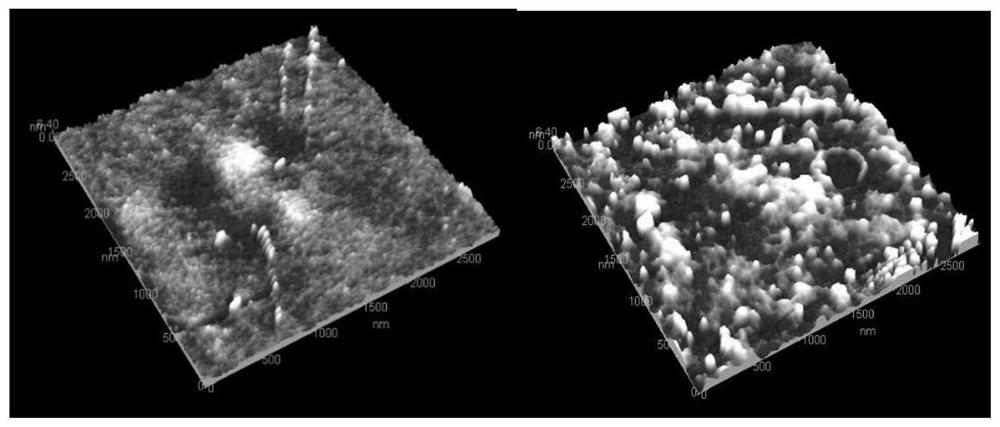 A kind of polyethylene preservative film and its preparation method and application