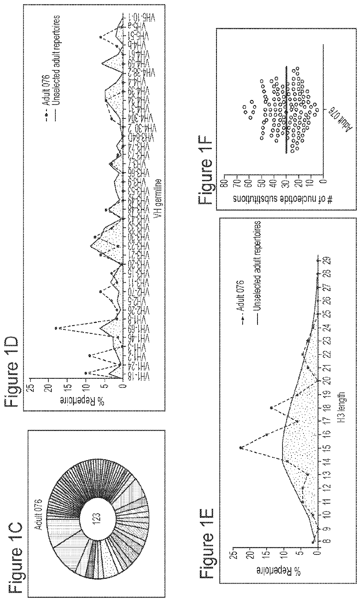 Anti-respiratory syncytial virus antibodies, and methods of their generation and use