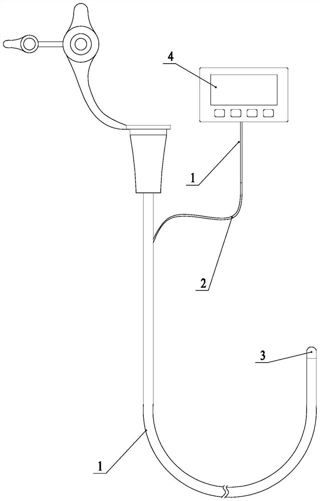 Nasointestinal tube facilitating judgment of intubation position