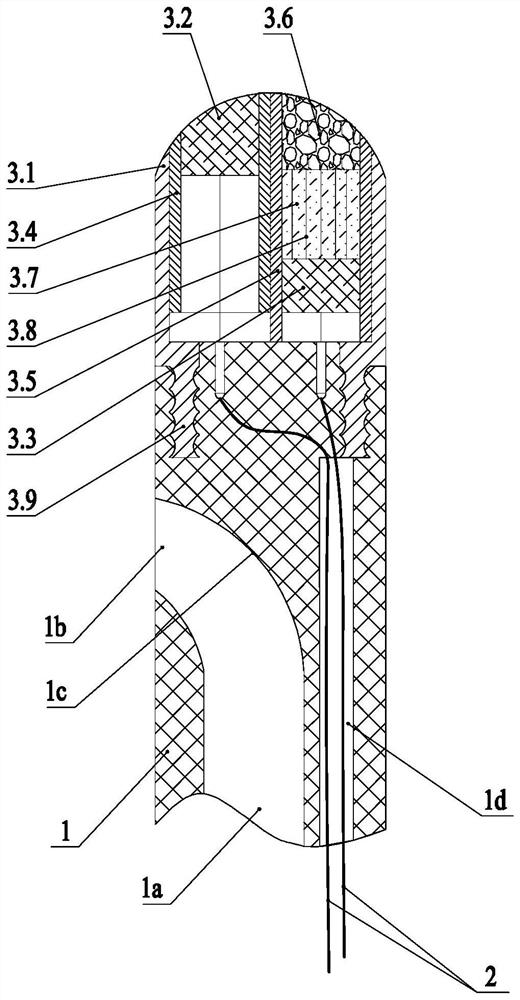 Nasointestinal tube facilitating judgment of intubation position