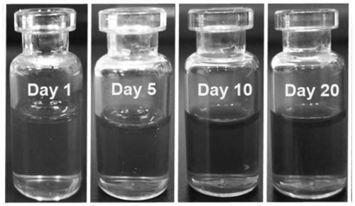 Nanometer assembly based on immune checkpoint inhibitor and preparation method and application of nanometer assembly