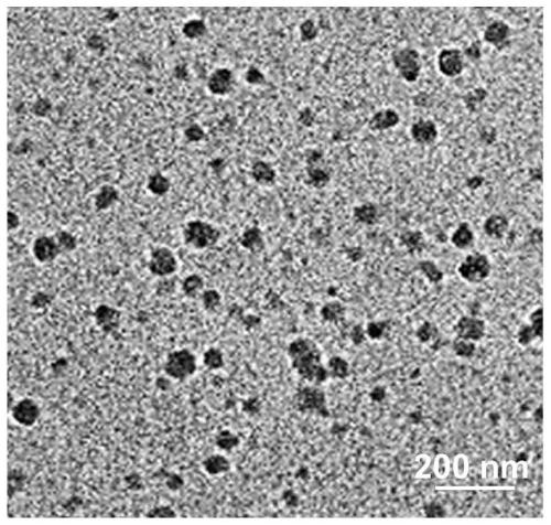 Nanometer assembly based on immune checkpoint inhibitor and preparation method and application of nanometer assembly