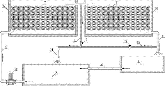 Automatic maintenance inoculation-free method for biological filter of circulating water culture system and special device