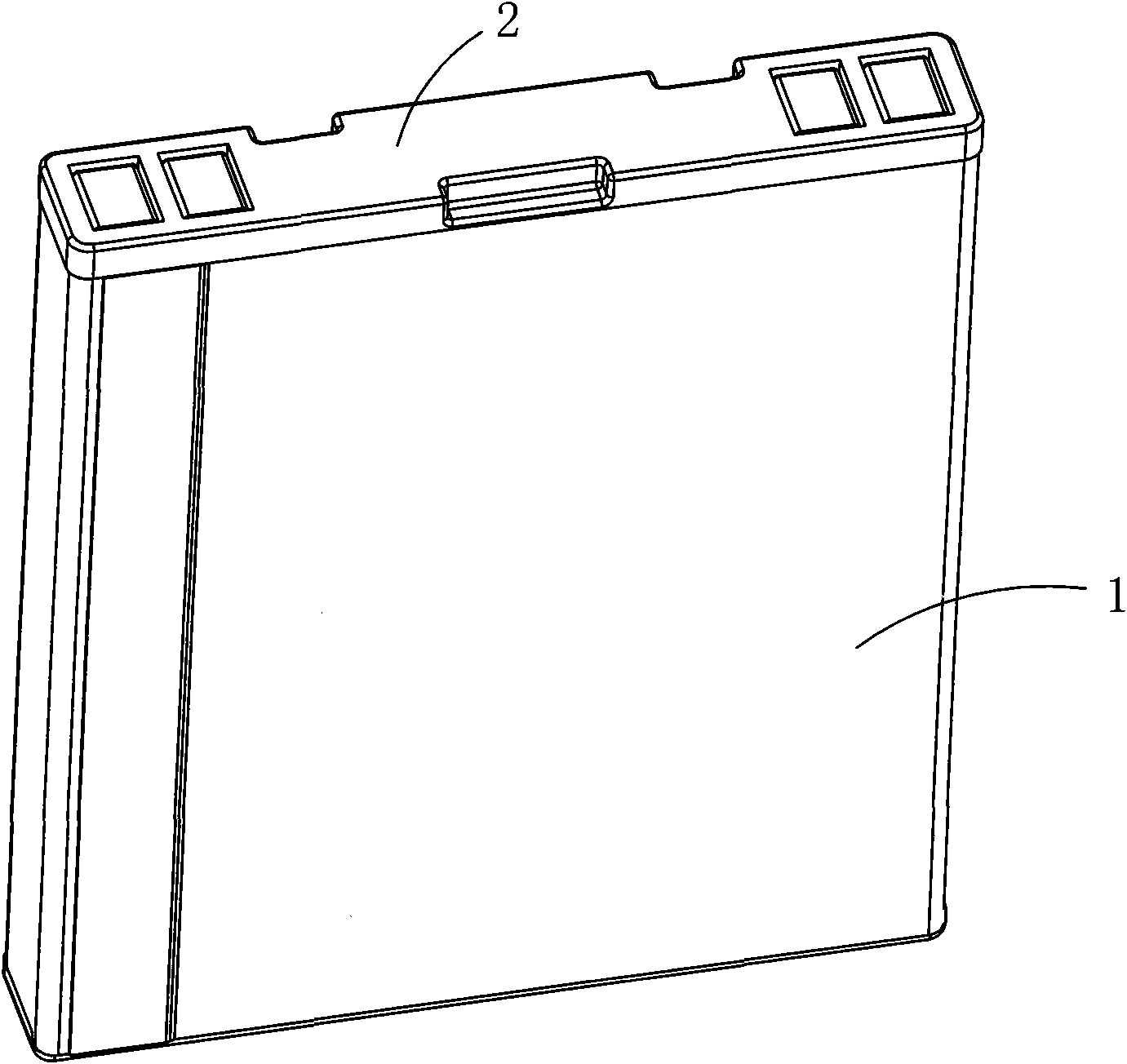 Lithium ion battery