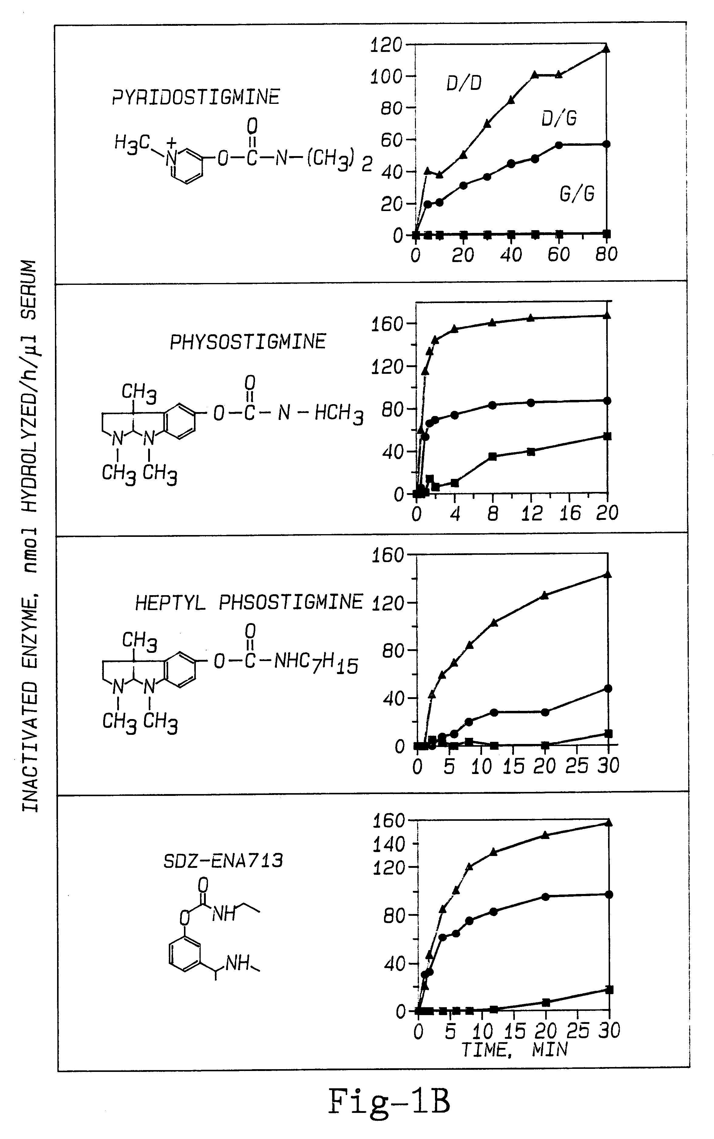 Method of screening for genetic predisposition to anticholinesterase therapy