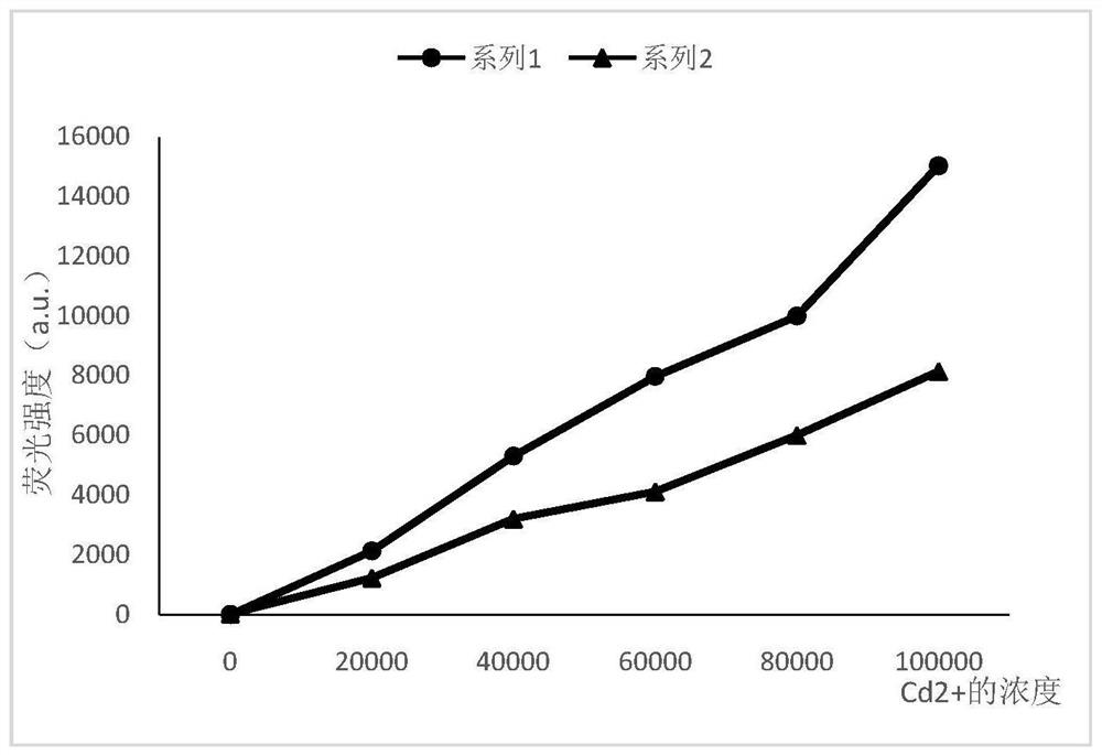 Cadmium ion detection method based on T3 DNA ligase