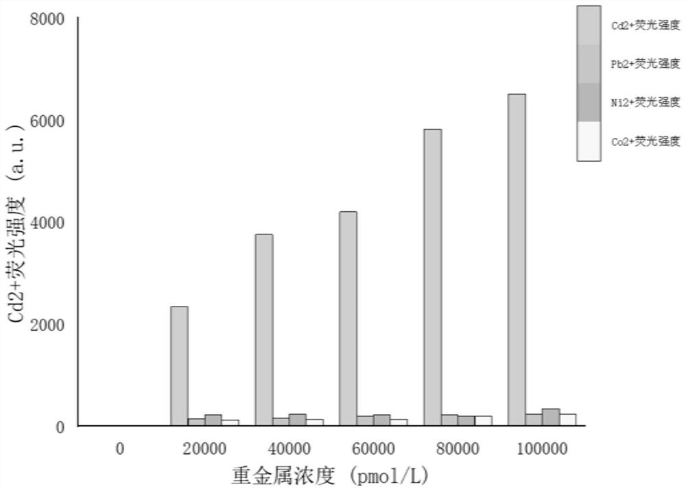 Cadmium ion detection method based on T3 DNA ligase