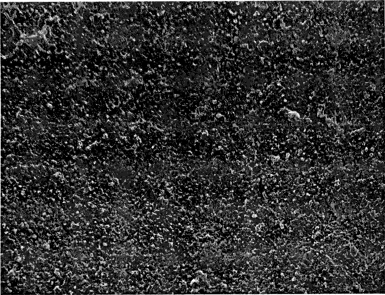 Method for improving reverse osmosis compound film separating property