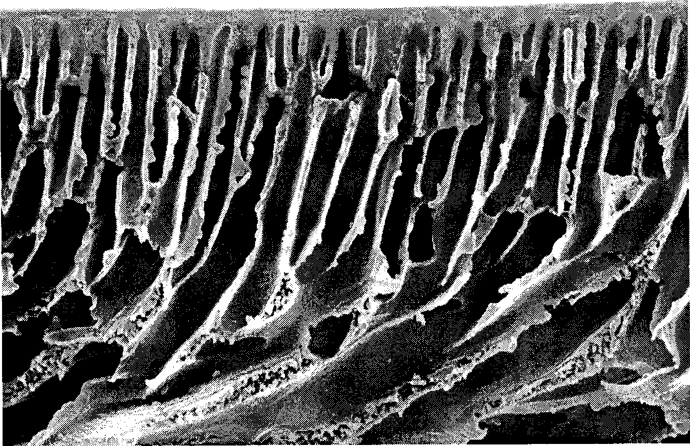 Method for improving reverse osmosis compound film separating property