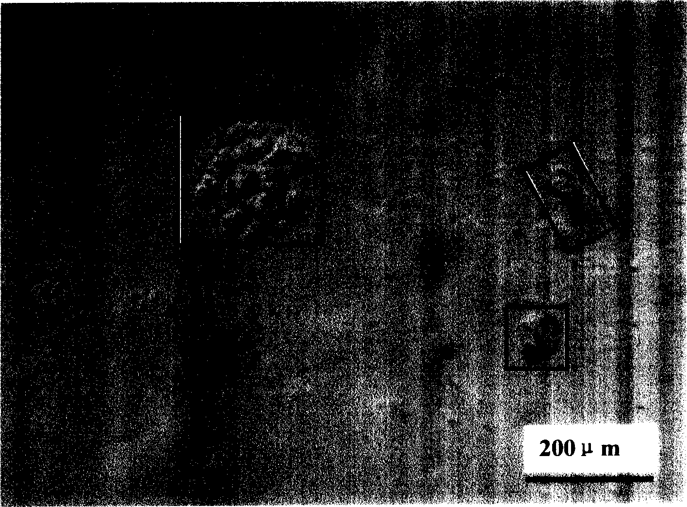 Heat treatment method after silicon carbide monocrystal growth