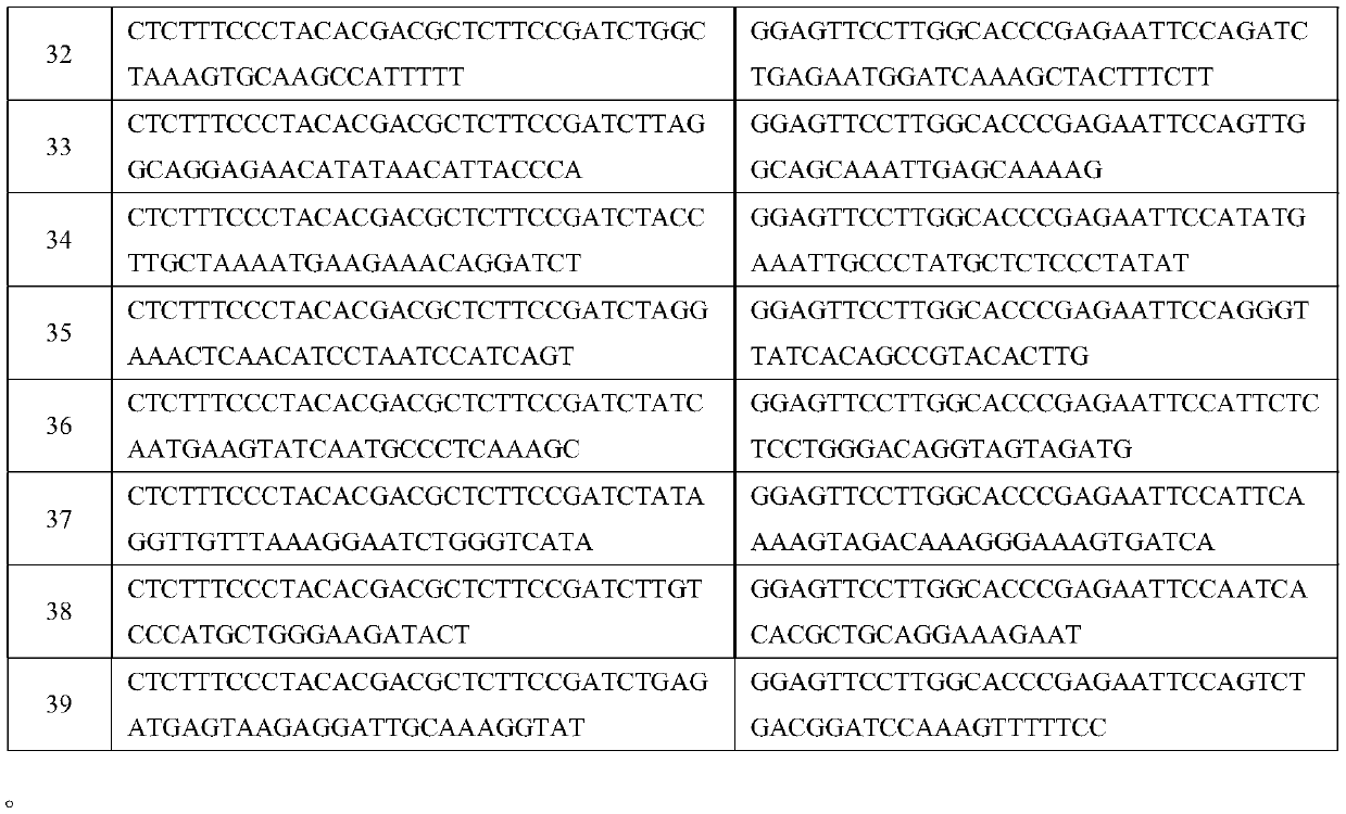 High-throughput sequencing method for hypertension treatment drug related genes and application thereof