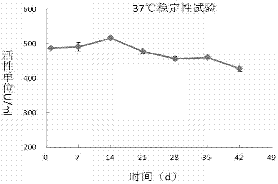 A recombinant long-acting human hyaluronidase, its coding gene, production method and application