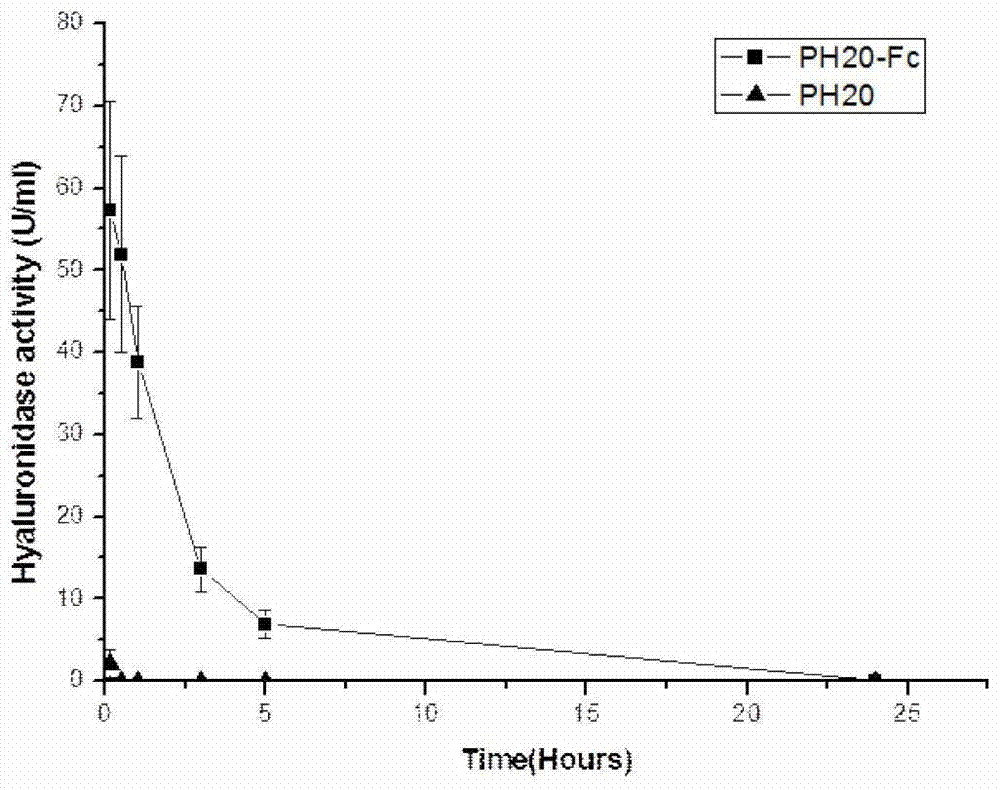 A recombinant long-acting human hyaluronidase, its coding gene, production method and application