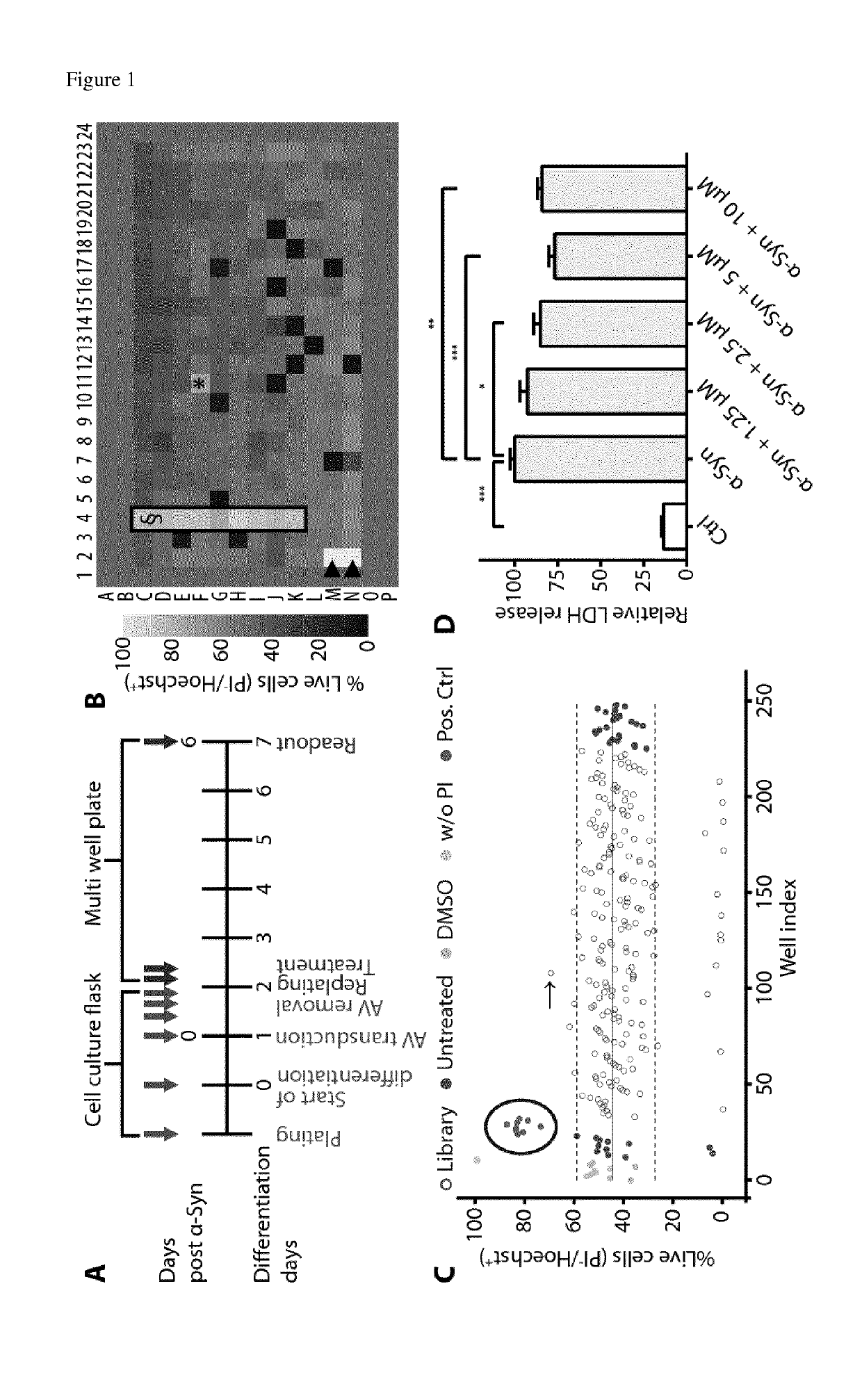 Treatment of synucleinopathies