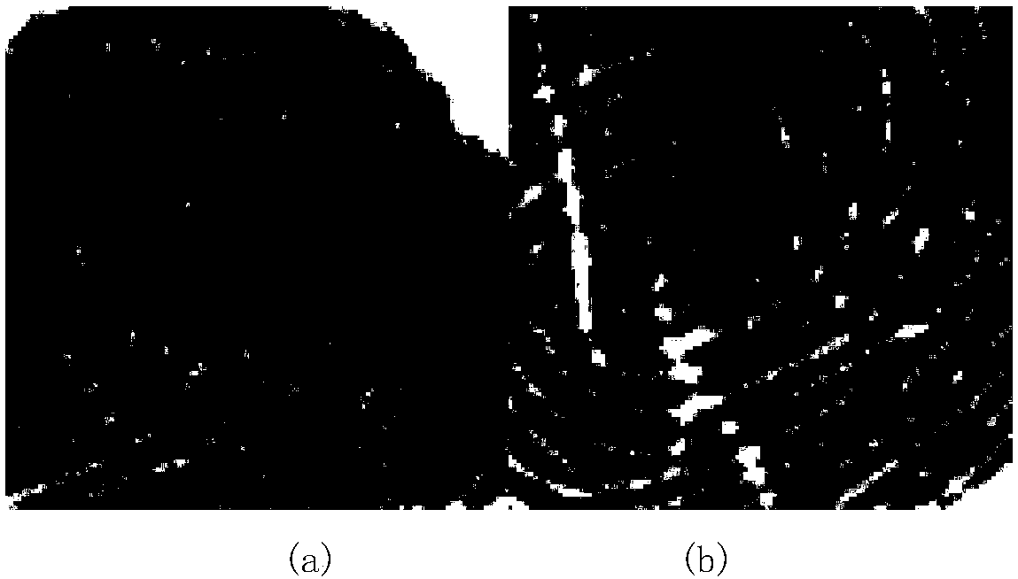 Selective extension-based fingerprint image matching method