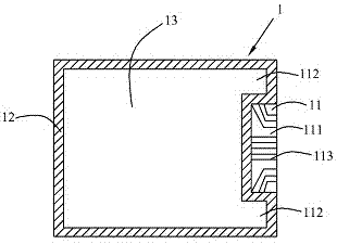 OLED (organic light emitting devices) screen body capable of preventing lead corrosion and OLED screen body packaging method