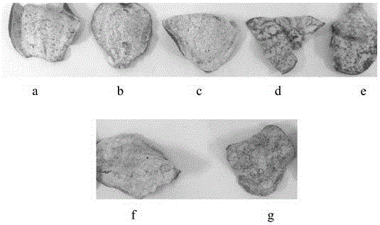 Method for accelerated ageing of pericarpium citri reticulatae