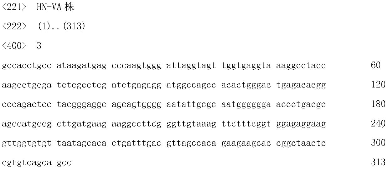 Haemophilus paragallinarum, inactivated vaccine and preparation method of inactivated vaccine