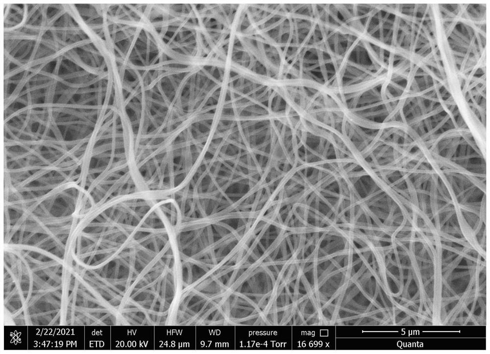 Core-shell catalyst for removing organic sulfur as well as preparation method and application of core-shell catalyst