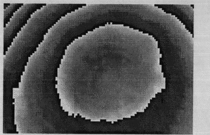 Method for forecasting operation life of integrated circuit based on phase shifting electronic speckle pattern interferometry