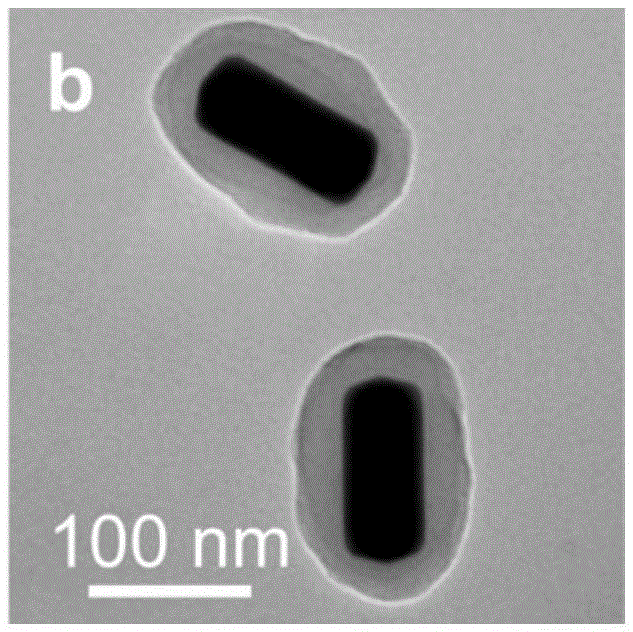 Surface plasmon switch and manufacturing method thereof