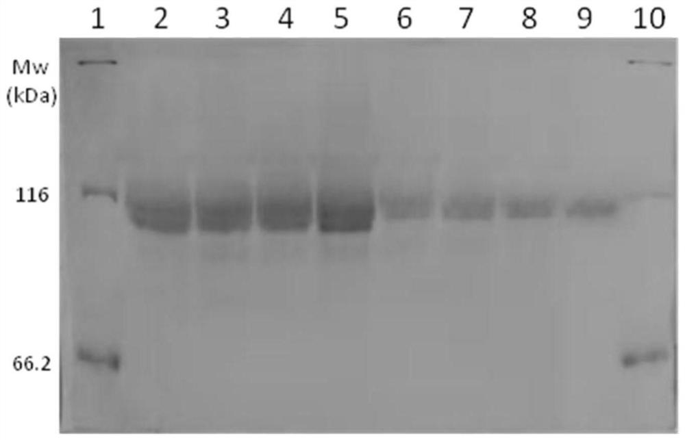 Polymer modified beta-glucosidase, preparation thereof and application of polymer modified beta-glucosidase in lignocellulose enzymolysis