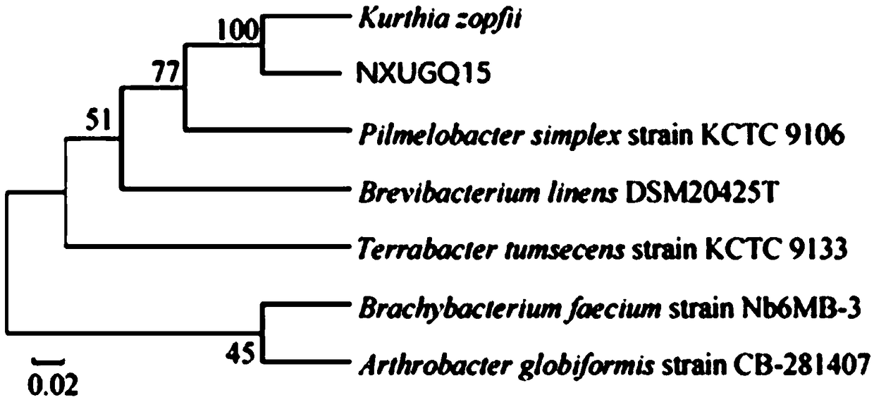 Preparation method of fermented lycium barbarum residues and aroma-enhancing lycium barbarum wine