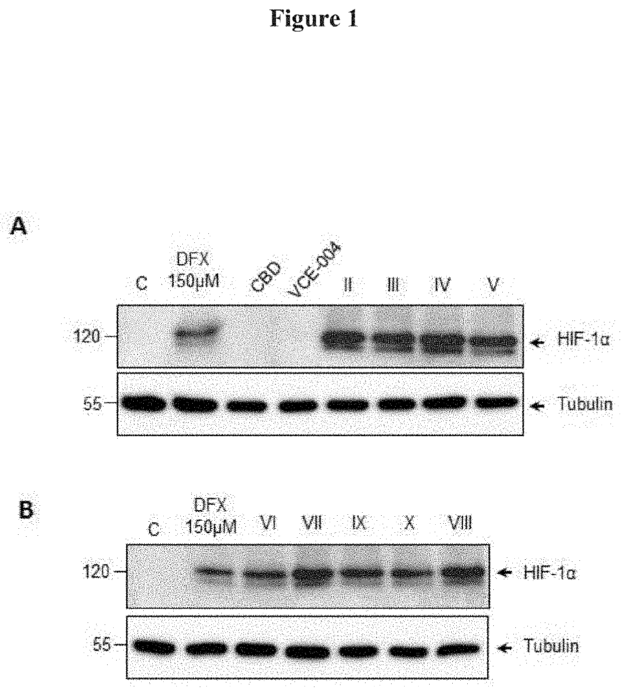 Cannabidiol derivatives as inhibitors of the hif prolyl hydroxylases activity