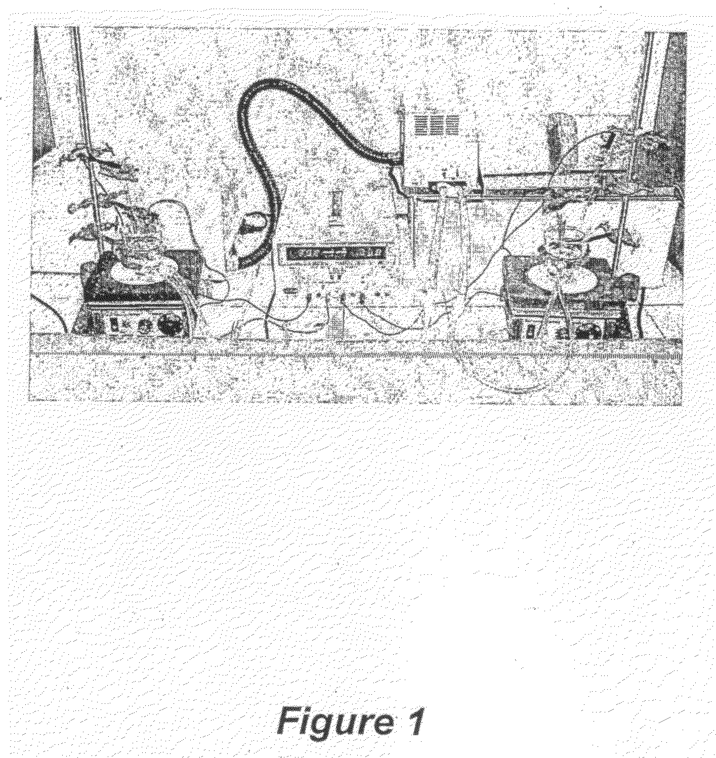 Nanoporous Membrane and Method of Preparation Thereof