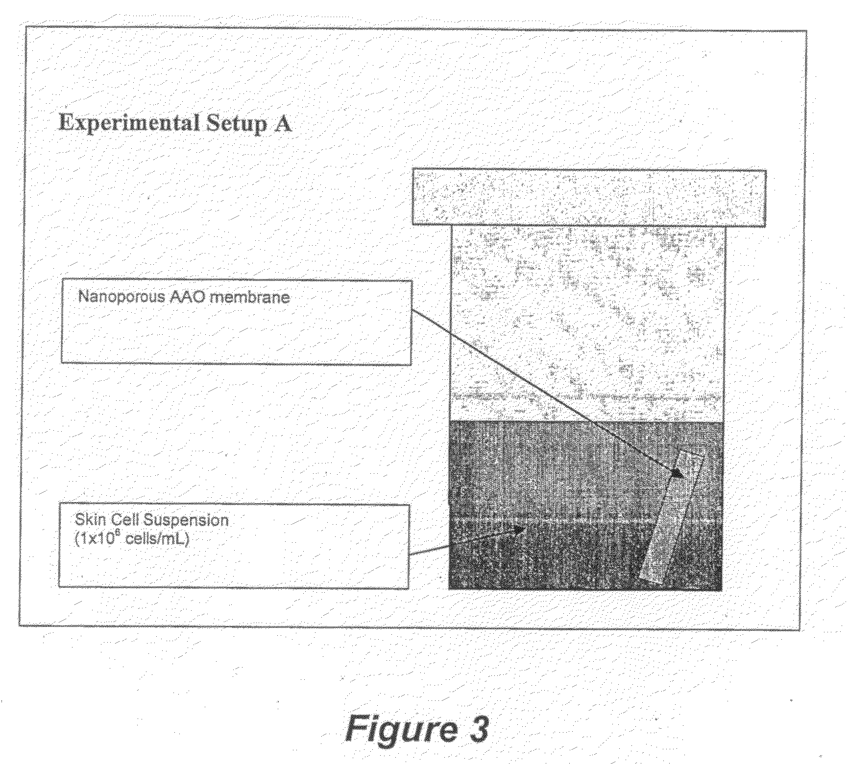 Nanoporous Membrane and Method of Preparation Thereof