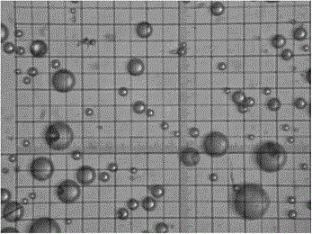 Azoxystrobin nanocapsule with shell-core structure and preparation method thereof