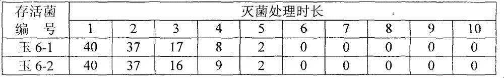 Atmospheric steam sterilizing biological indicator and preparation method thereof