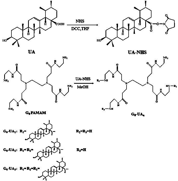 An amphiphilic nanometer self-assembled micelle based on low-generation pamam dendrimers and its application