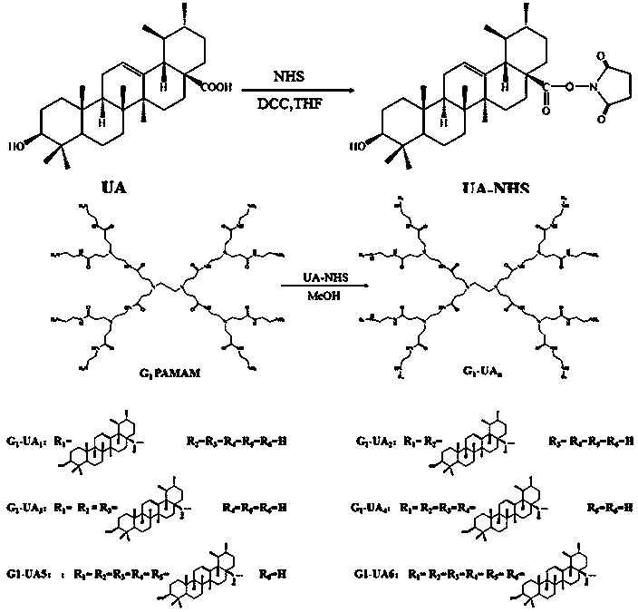 An amphiphilic nanometer self-assembled micelle based on low-generation pamam dendrimers and its application