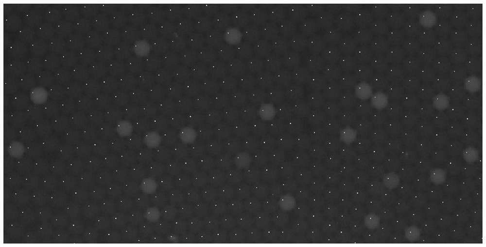 A method for correcting droplet position between droplet digital pcr channels