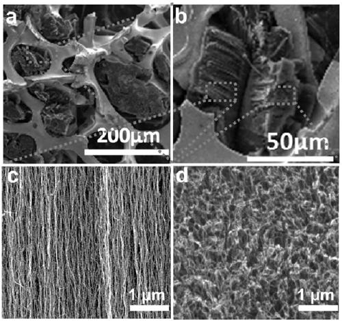 Preparation method and application of arrayed carbon nanotube foam metal composite substrate