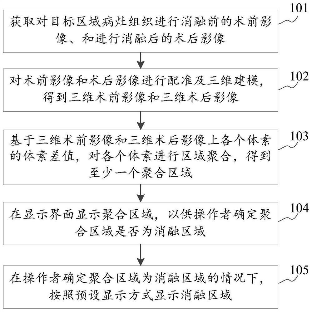 Ablation area determination method and device based on medical image and storage medium