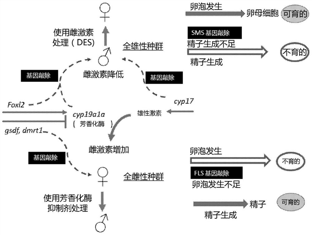 A method of generating sterile and monosex progeny