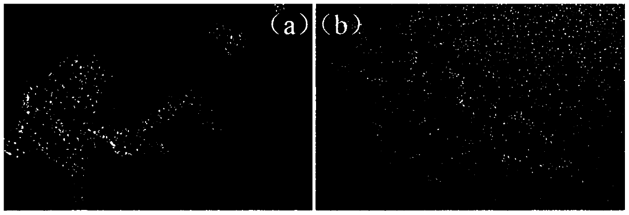 Preparation method and application of double-hetero-element-doped porous carbon nanorod negative electrode material