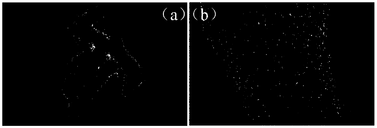 Preparation method and application of double-hetero-element-doped porous carbon nanorod negative electrode material