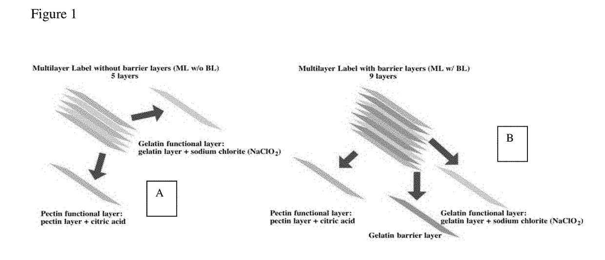 Chlorine Dioxide Gas Releasing Package Label Insert for Enhancing Microbial Safety of Food