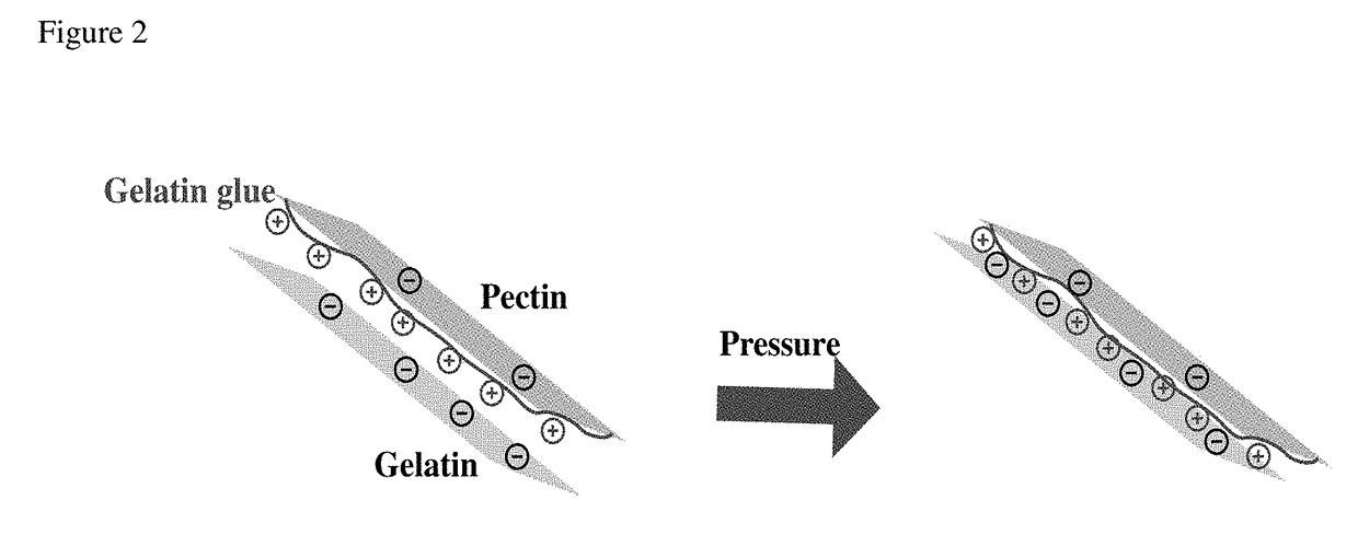 Chlorine Dioxide Gas Releasing Package Label Insert for Enhancing Microbial Safety of Food